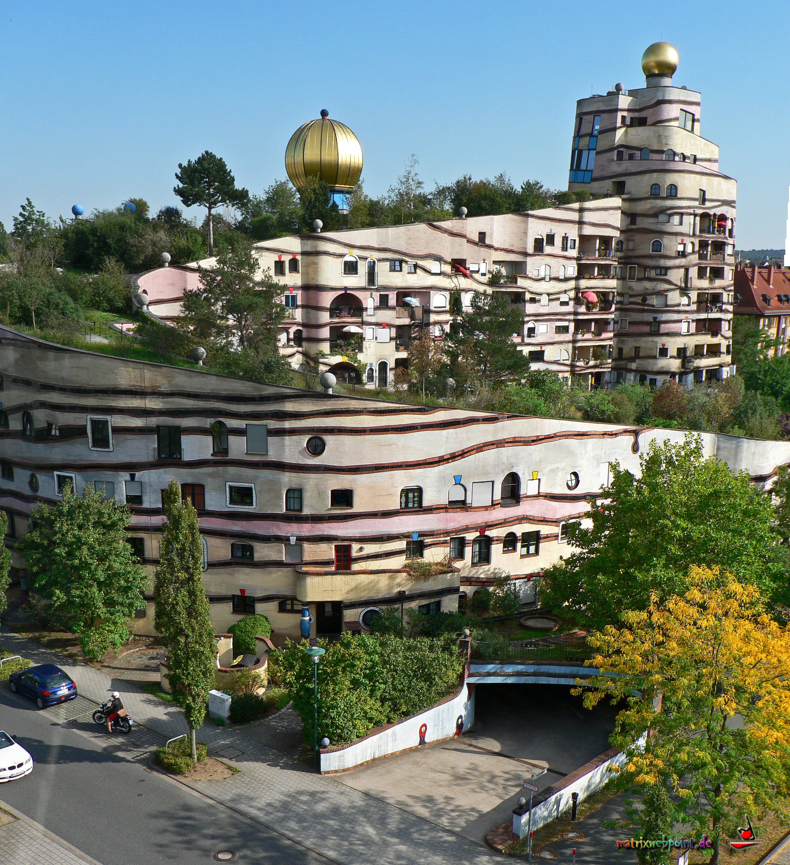 Waldspirale von oben