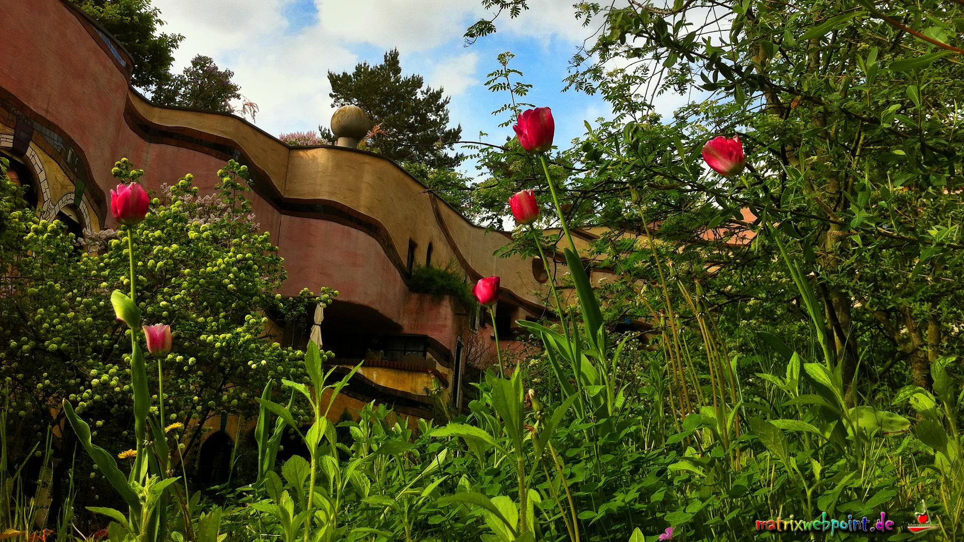         100Wasser Garten Innenhof Nord