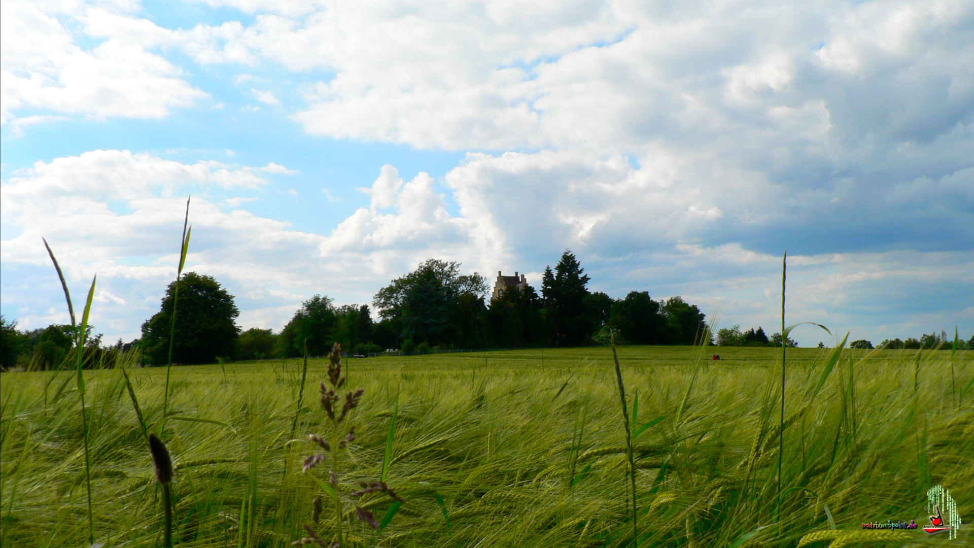       OBERFELD FOTO 2