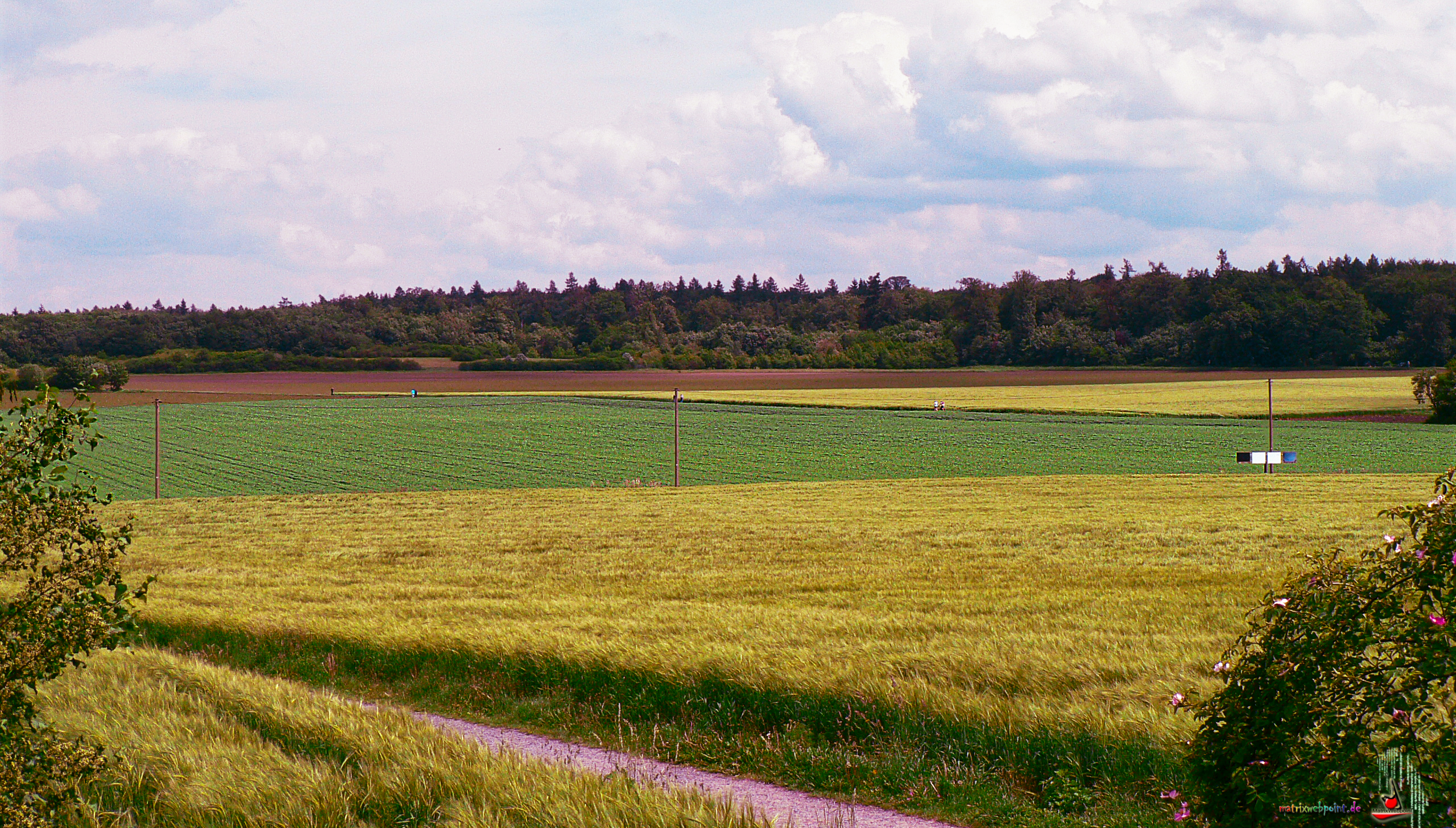       OBERFELD FOTO 1