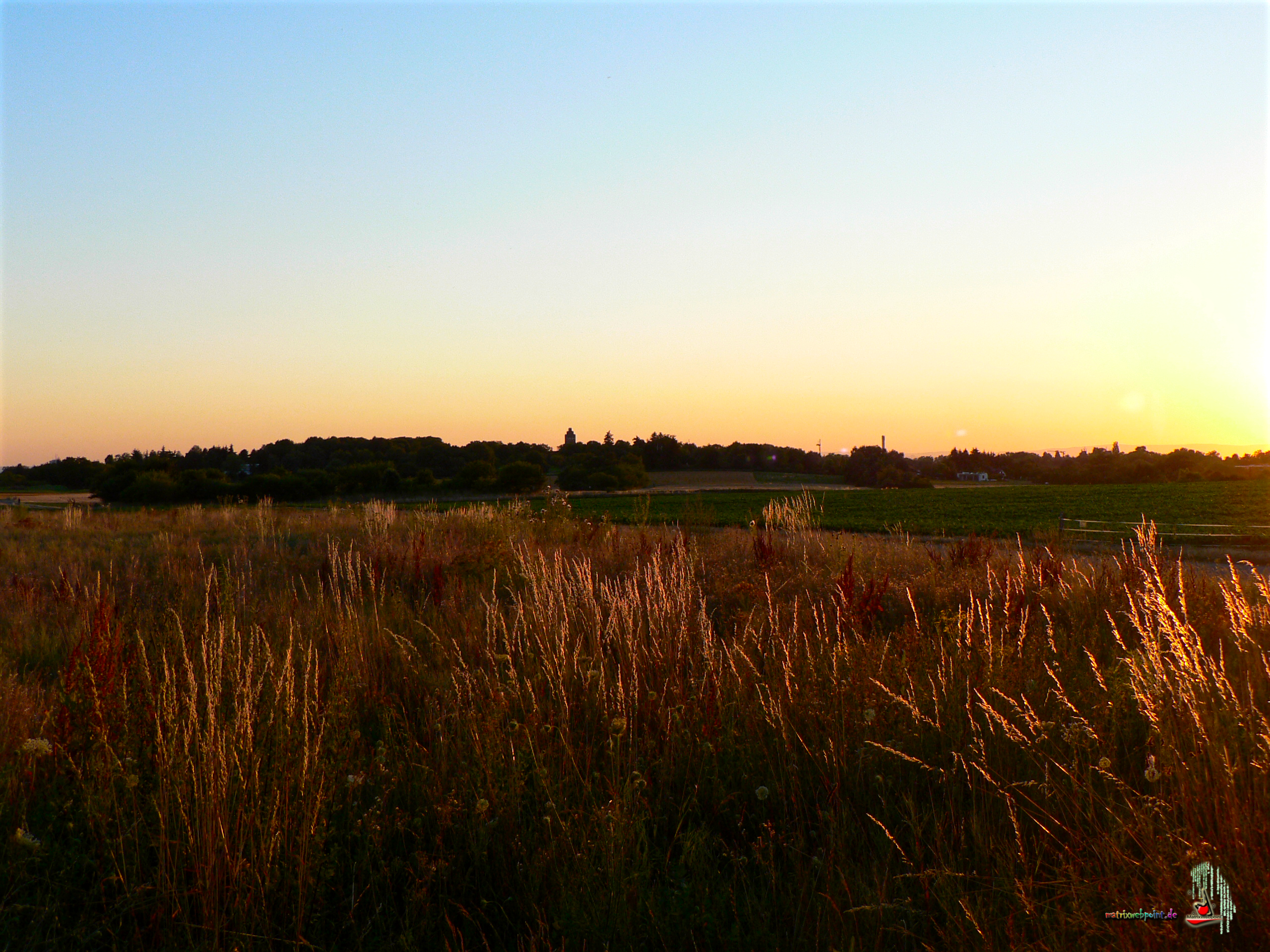       OBERFELD ABENDSONNE