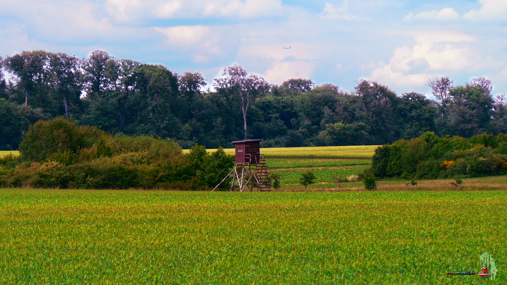 OBERFELD RUNDBLICK 1