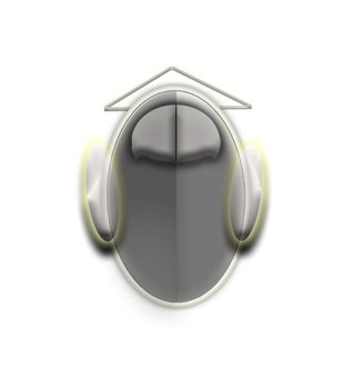           Besucherseite SCROLL